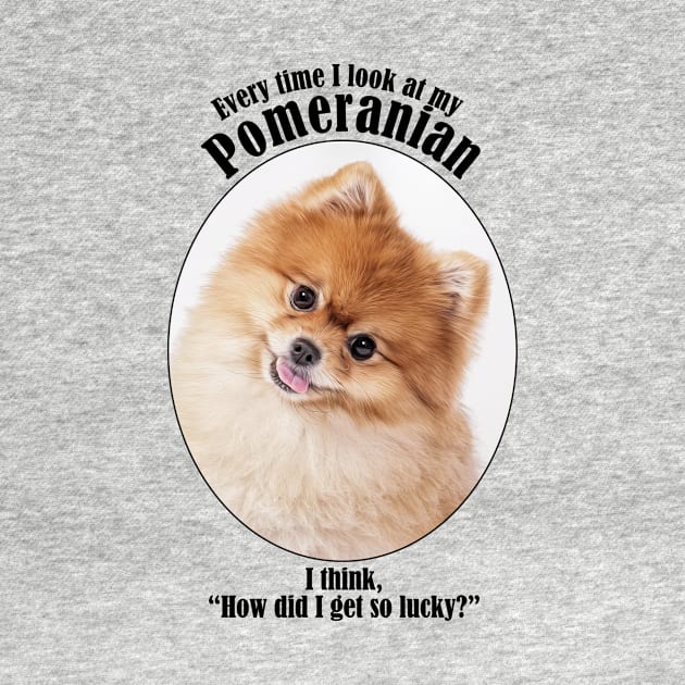 Lucky Pomeranian by You Had Me At Woof